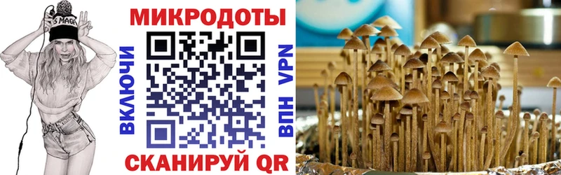 Псилоцибиновые грибы Psilocybe  Купить закладки  Донской 